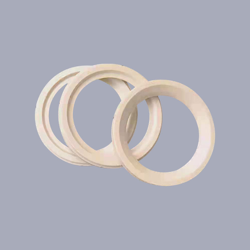 PEEK高溫高壓密封圈